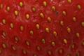 25  Allstar Strawberry Plants