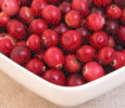 20lb. of Fresh Cranberries