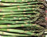 Asparagus Plants