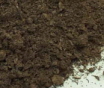 2lb bag of Peat Moss